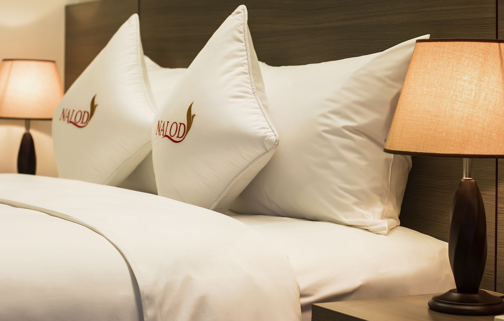 The Nalod Da Nang Hotel Kültér fotó